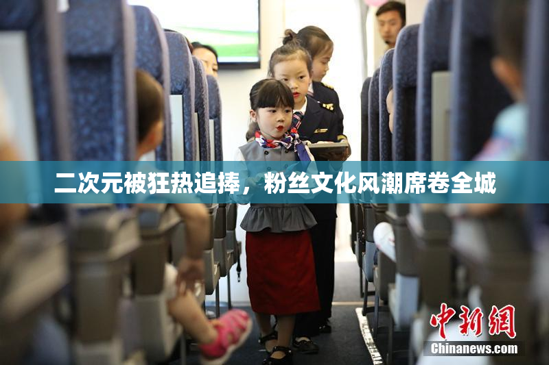二次元被狂热追捧，粉丝文化风潮席卷全城