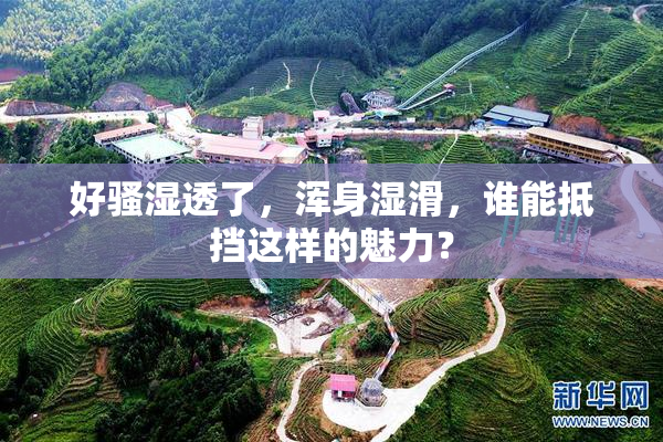 好骚湿透了，浑身湿滑，谁能抵挡这样的魅力？