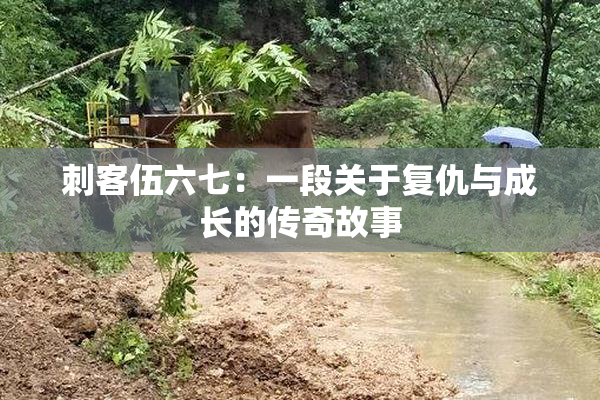 刺客伍六七：一段关于复仇与成长的传奇故事