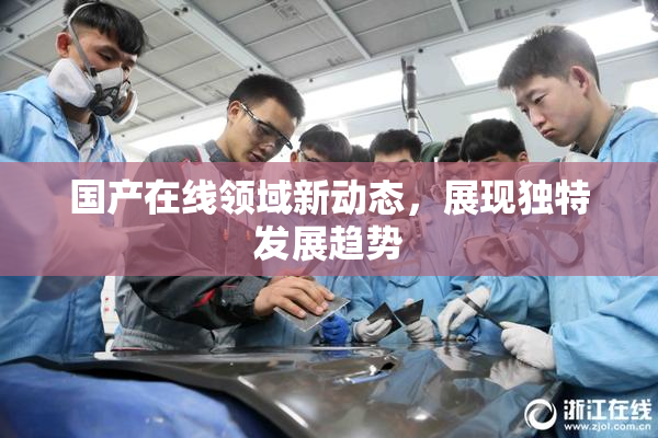 国产在线领域新动态，展现独特发展趋势