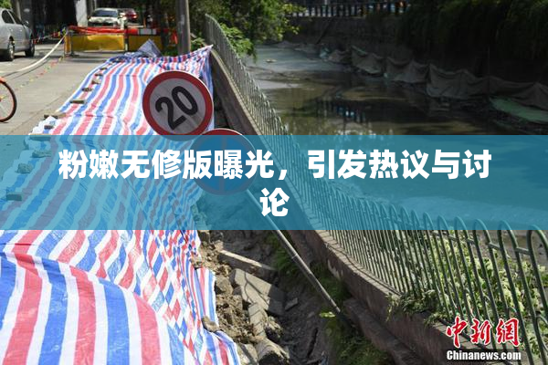 粉嫩无修版曝光，引发热议与讨论