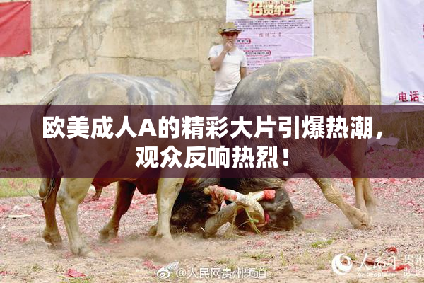 欧美成人A的精彩大片引爆热潮，观众反响热烈！