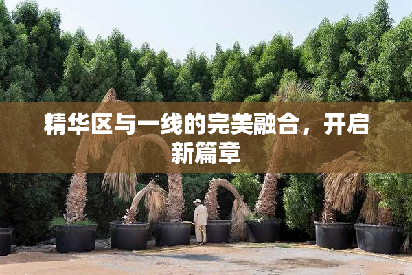 精华区与一线的完美融合，开启新篇章