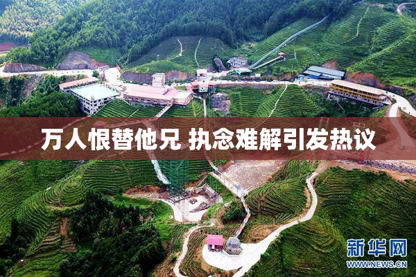 万人恨替他兄 执念难解引发热议