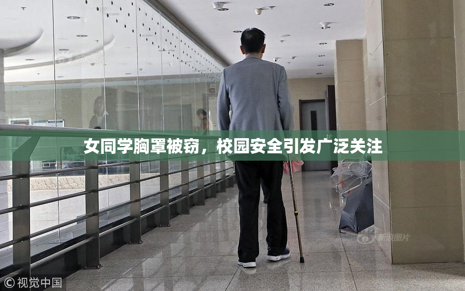 女同学胸罩被窃，校园安全引发广泛关注