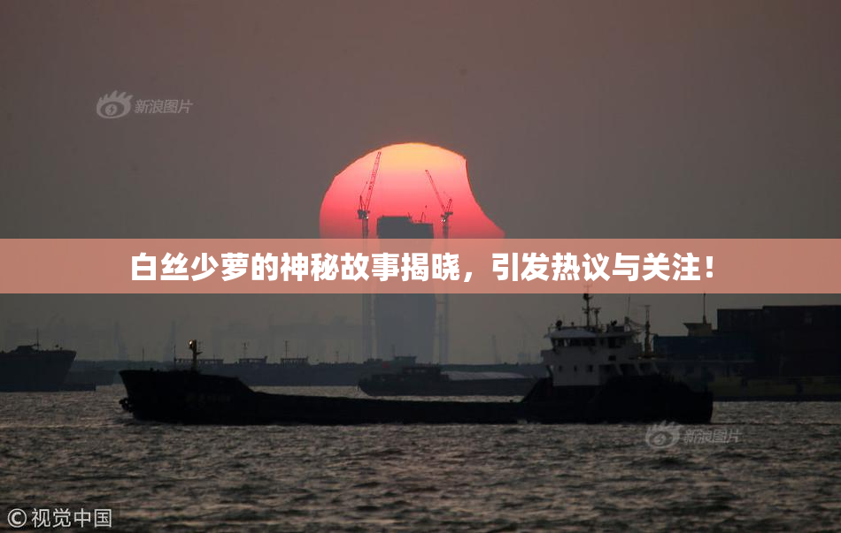 白丝少萝的神秘故事揭晓，引发热议与关注！