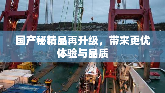 国产秘精品再升级，带来更优体验与品质