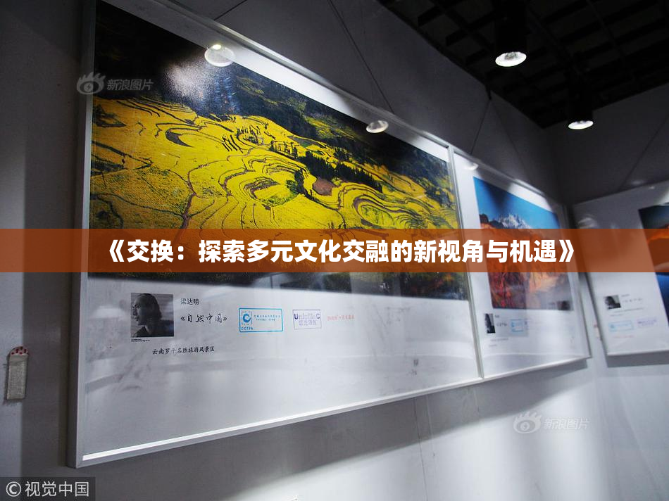 《交换：探索多元文化交融的新视角与机遇》