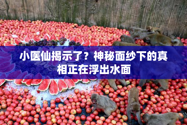 小医仙揭示了？神秘面纱下的真相正在浮出水面