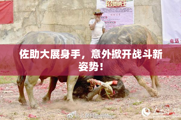 佐助大展身手，意外掀开战斗新姿势！