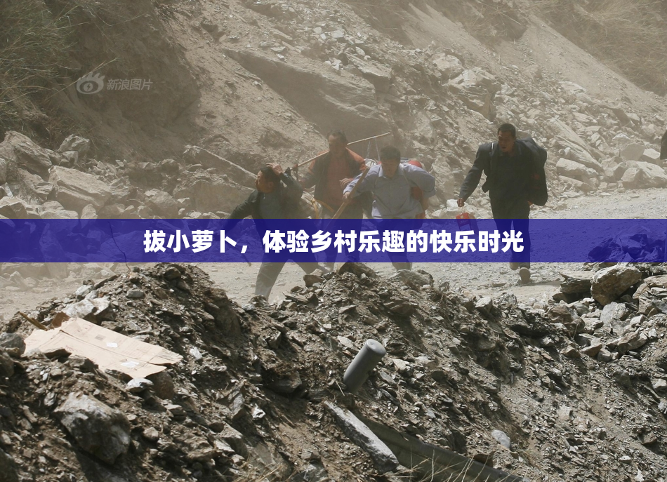 拔小萝卜，体验乡村乐趣的快乐时光