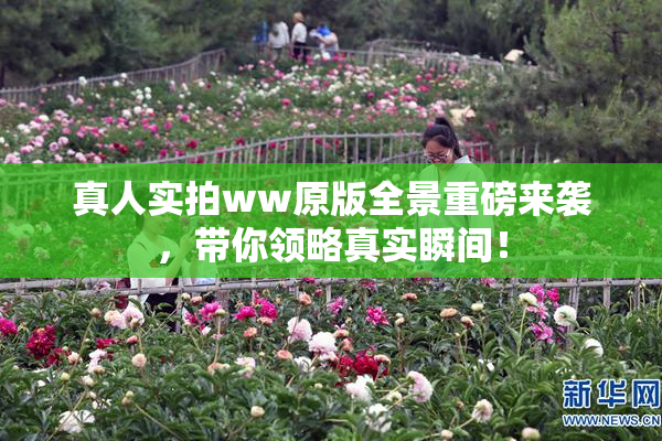 真人实拍ww原版全景重磅来袭，带你领略真实瞬间！