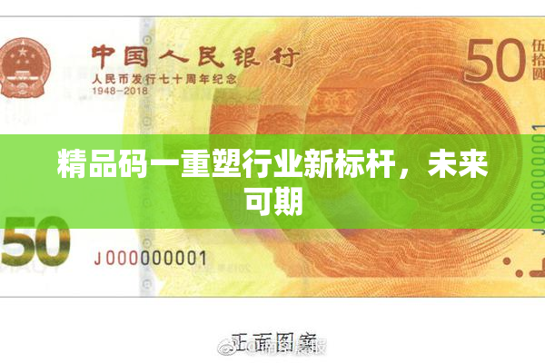 精品码一重塑行业新标杆，未来可期