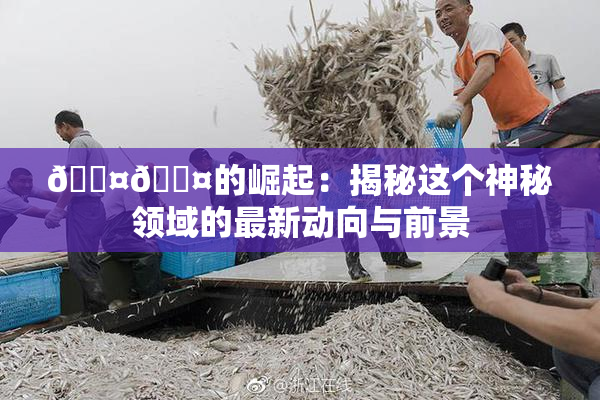 🐤🐤的崛起：揭秘这个神秘领域的最新动向与前景