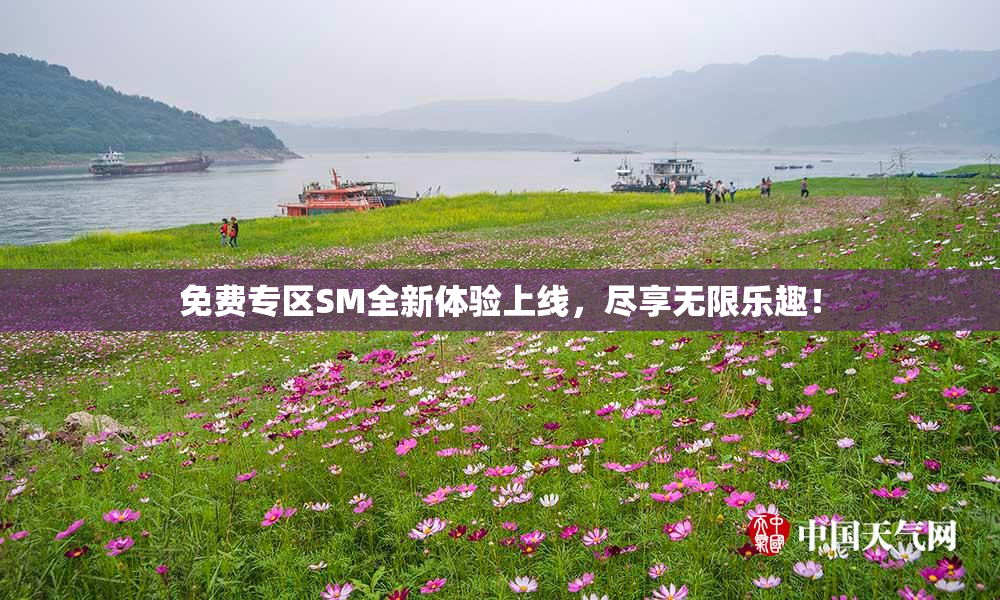 免费专区SM全新体验上线，尽享无限乐趣！