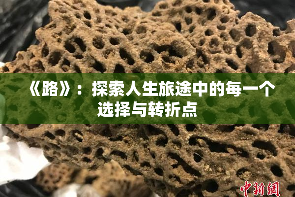 《路》：探索人生旅途中的每一个选择与转折点