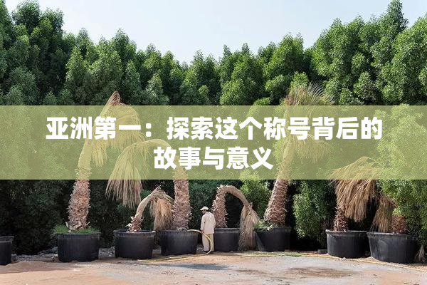 亚洲第一：探索这个称号背后的故事与意义
