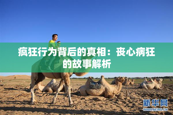 疯狂行为背后的真相：丧心病狂的故事解析