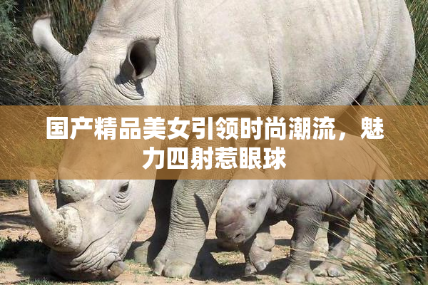 国产精品美女引领时尚潮流，魅力四射惹眼球