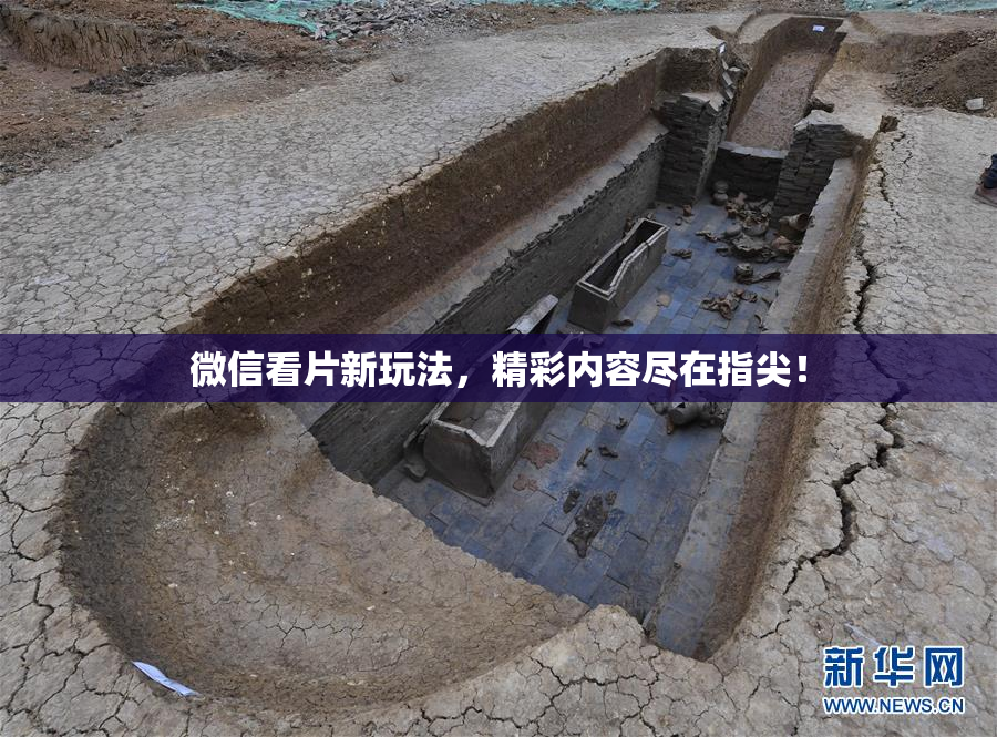 微信看片新玩法，精彩内容尽在指尖！