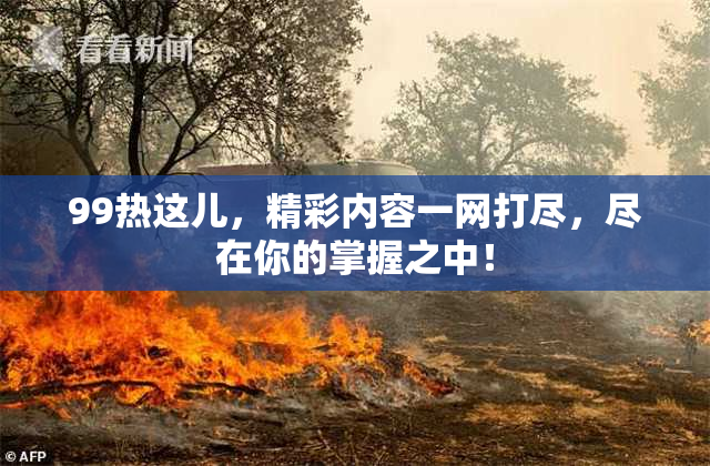99热这儿，精彩内容一网打尽，尽在你的掌握之中！