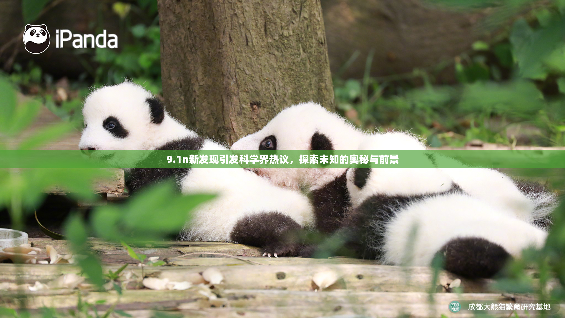 9.1n新发现引发科学界热议，探索未知的奥秘与前景