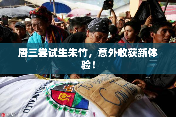唐三尝试生朱竹，意外收获新体验！
