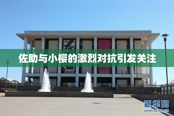 佐助与小樱的激烈对抗引发关注