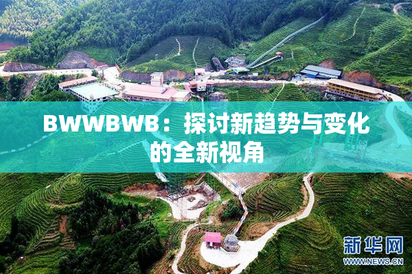 BWWBWB：探讨新趋势与变化的全新视角