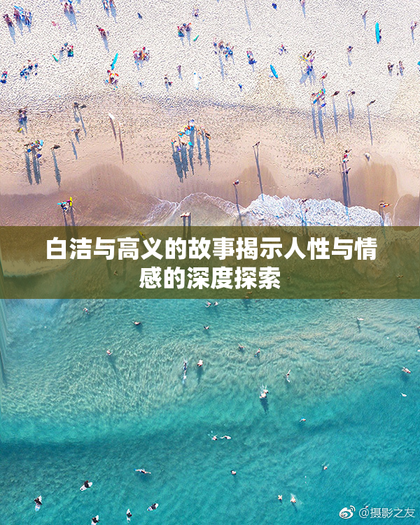 白洁与高义的故事揭示人性与情感的深度探索