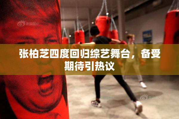 张柏芝四度回归综艺舞台，备受期待引热议