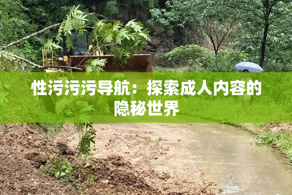 性污污污导航：探索成人内容的隐秘世界