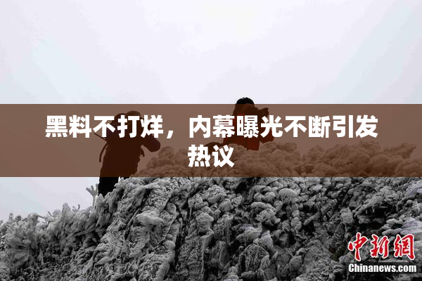 黑料不打烊，内幕曝光不断引发热议