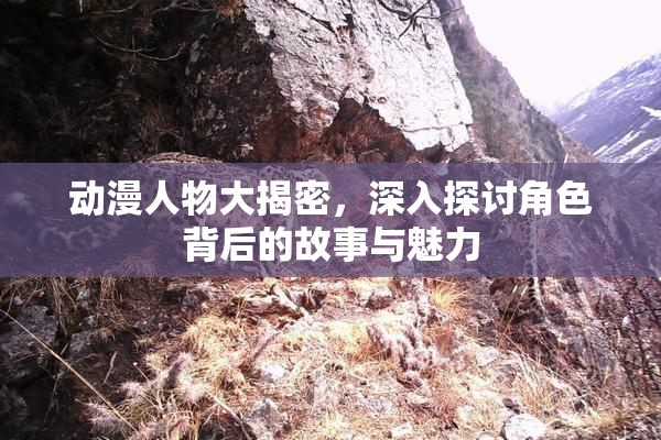 动漫人物大揭密，深入探讨角色背后的故事与魅力