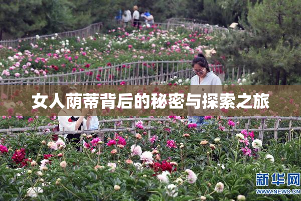女人荫蒂背后的秘密与探索之旅