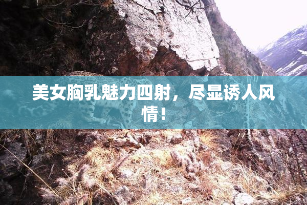 美女胸乳魅力四射，尽显诱人风情！
