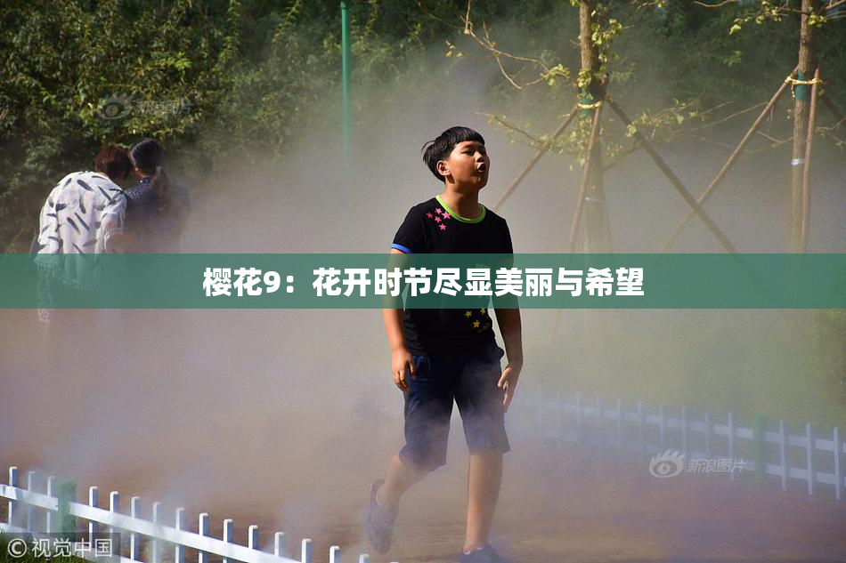 樱花9：花开时节尽显美丽与希望