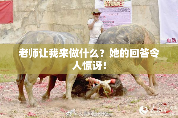 老师让我来做什么？她的回答令人惊讶！