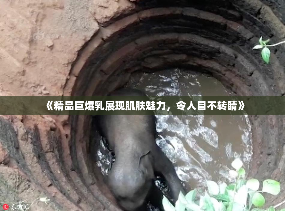 《精品巨爆乳展现肌肤魅力，令人目不转睛》
