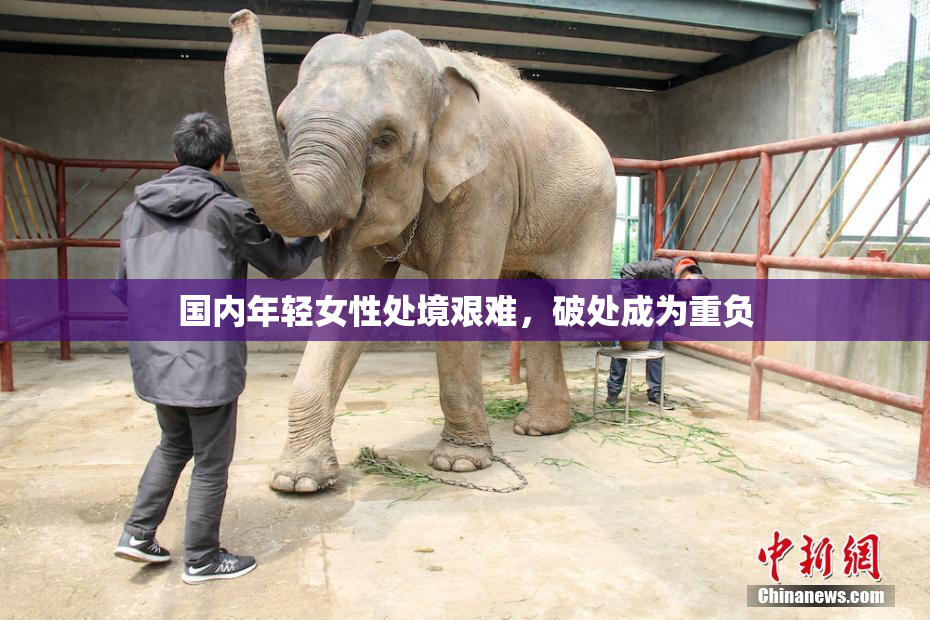 国内年轻女性处境艰难，破处成为重负