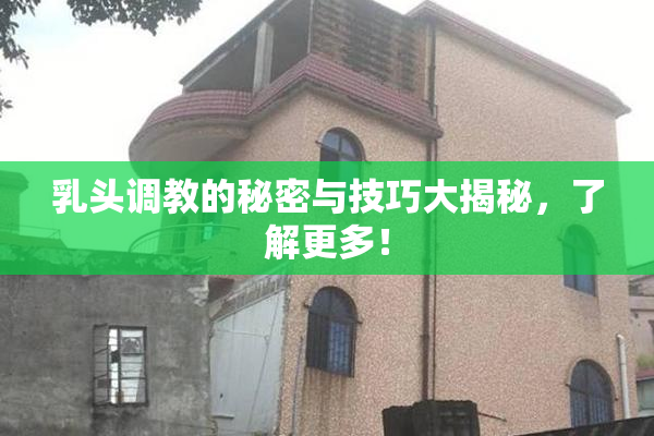 乳头调教的秘密与技巧大揭秘，了解更多！