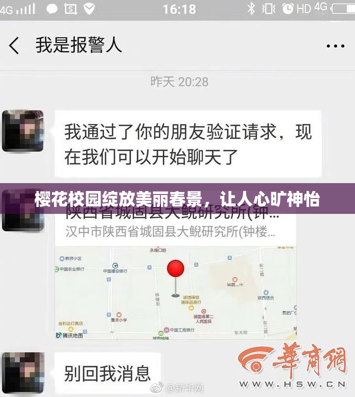 樱花校园绽放美丽春景，让人心旷神怡