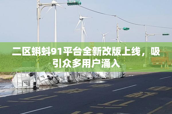 二区蝌蚪91平台全新改版上线，吸引众多用户涌入