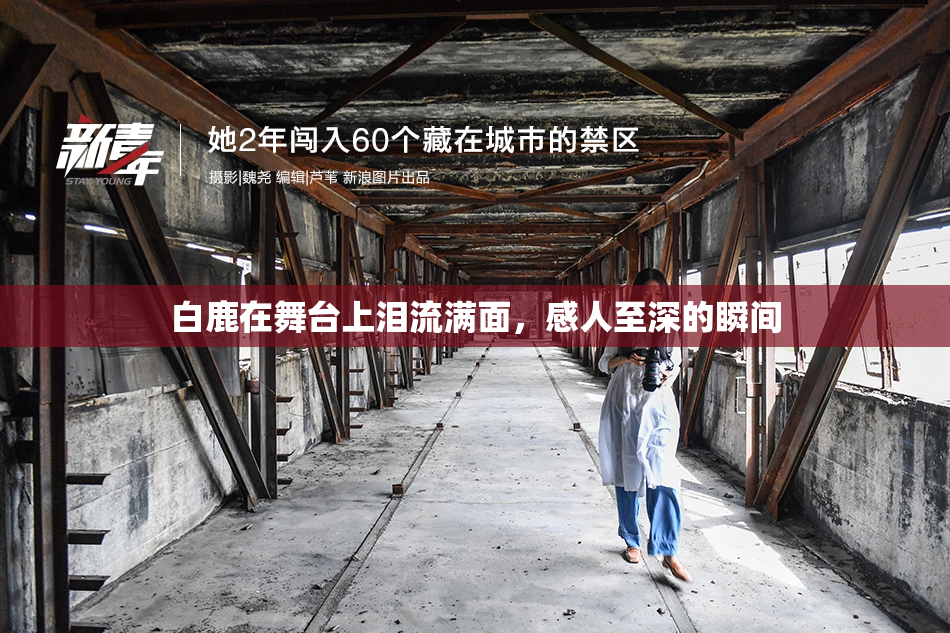 白鹿在舞台上泪流满面，感人至深的瞬间