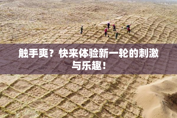 触手爽？快来体验新一轮的刺激与乐趣！