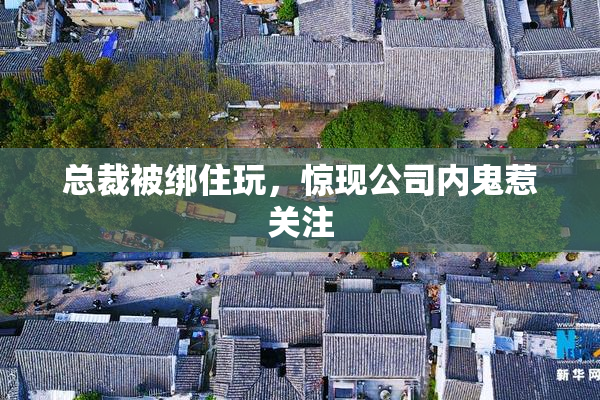 总裁被绑住玩，惊现公司内鬼惹关注
