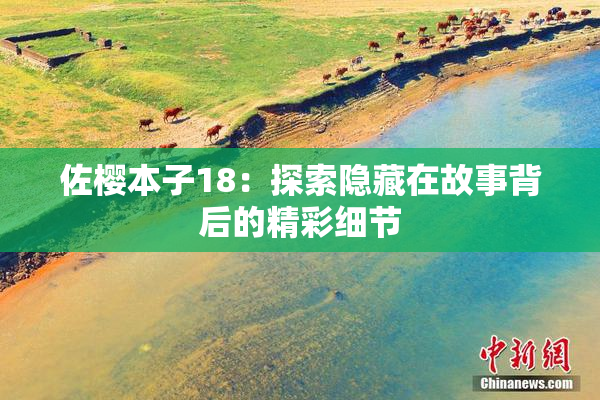 佐樱本子18：探索隐藏在故事背后的精彩细节