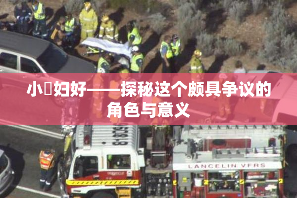 小婬妇好——探秘这个颇具争议的角色与意义