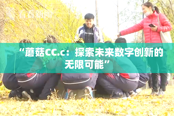 “蘑菇CC.c：探索未来数字创新的无限可能”