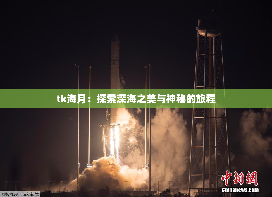 tk海月：探索深海之美与神秘的旅程